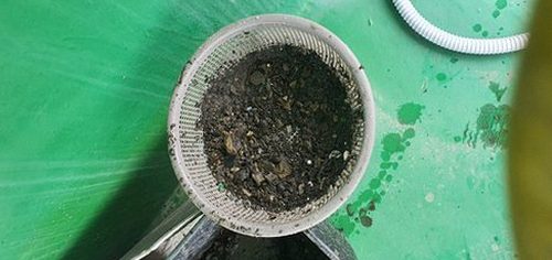광주 하수구막힘 배수 후 물 흐름과 두 배수구 상태를 비교하는 장면