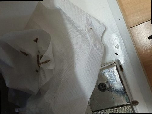 광주 하수구막힘 배수 상태와 주변 누수 여부를 함께 확인하는 현장