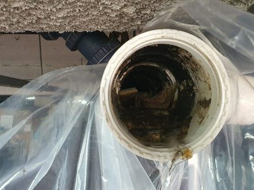 광주 하수구막힘 배관 점검 후 배수구가 정상적으로 물을 내보내는 모습